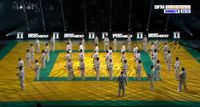 Démonstration de karaté Kyokushinkai durant le festival des Arts Martiaux à Bercy en mars 2023 Démonstration de karaté Kyokushinkai à Bercy en mars 2023